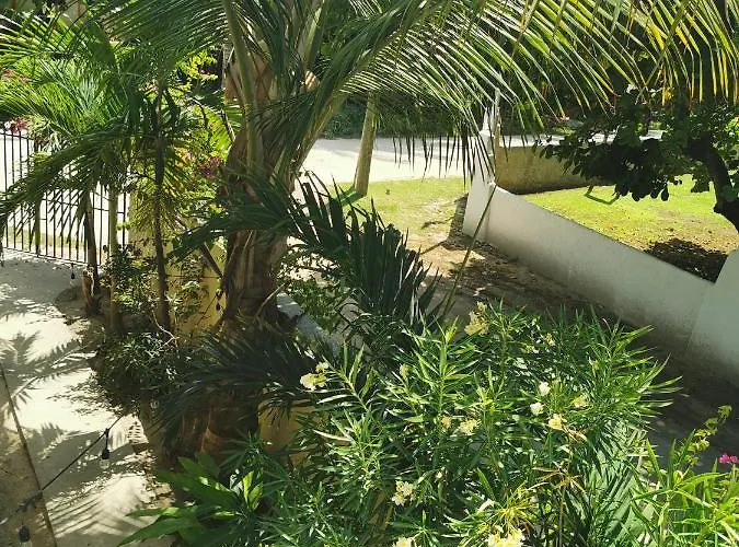 Hotel Belize Tropical Dream 2*