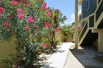 Belize Tropical Dream 2* San Pedro (Ambergris Caye)